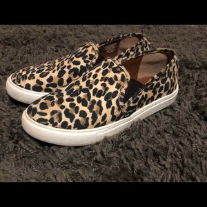 Steve Madden size 6.5